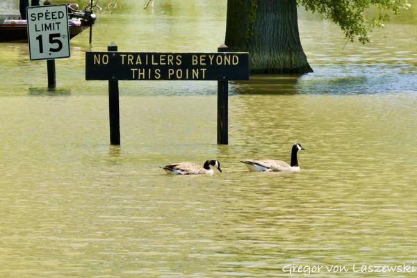  May 9, 2025 1:26 PM, Canon EOS R7, RF100-500mm F4.5-7.1 L IS USM, 324mm, f/22.0, 1/3200s, ISO 20000, Gregor von Laszewski