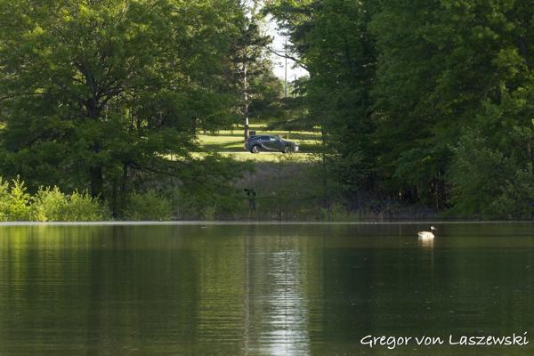  May 11, 2025 8:54 AM, Canon EOS R7, RF100-500mm F4.5-7.1 L IS USM, 128mm, f/22.0, 1/640s, ISO 6400, Gregor von Laszewski