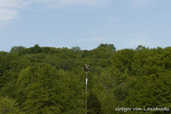  May 11, 2025 9:27 AM, Canon EOS R7, RF100-500mm F4.5-7.1 L IS USM, 100mm, f/22.0, 1/200s, ISO 640, Gregor von Laszewski