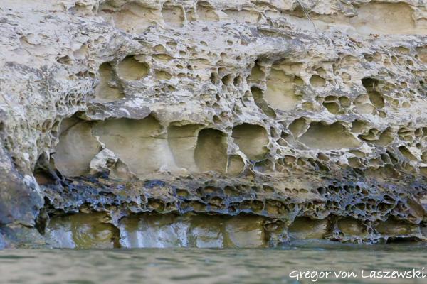  May 14, 2025 8:15 PM, Canon EOS R7, RF200-800mm F6.3-9 IS USM, 742mm, f/10.0, 1/2500s, ISO 25600, Gregor von Laszewski