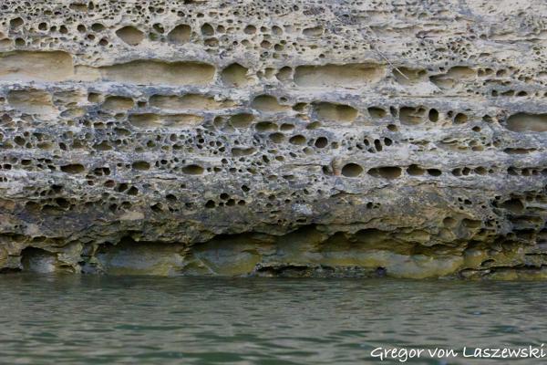  May 14, 2025 8:17 PM, Canon EOS R7, RF200-800mm F6.3-9 IS USM, 200mm, f/10.0, 1/2500s, ISO 20000, Gregor von Laszewski