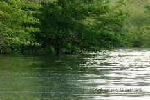  January 1, 0001 12:00 AM, , , mm, , s, ISO , 