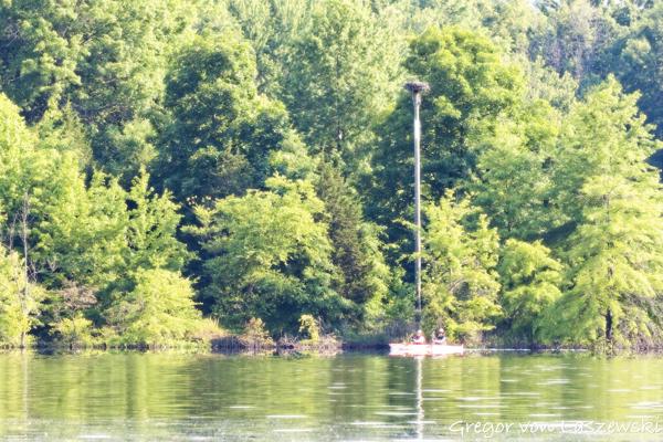  June 11, 2025 9:08 AM, Canon EOS R7, RF100-500mm F4.5-7.1 L IS USM, 300mm, f/18.0, 1/500s, ISO 3200, Gregor von Laszewski