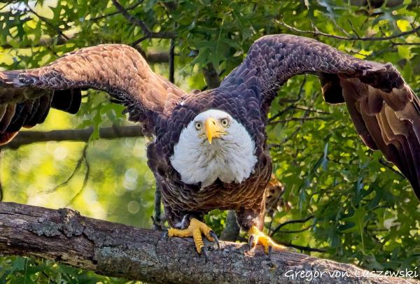 Monroe Lake 07-11-2025