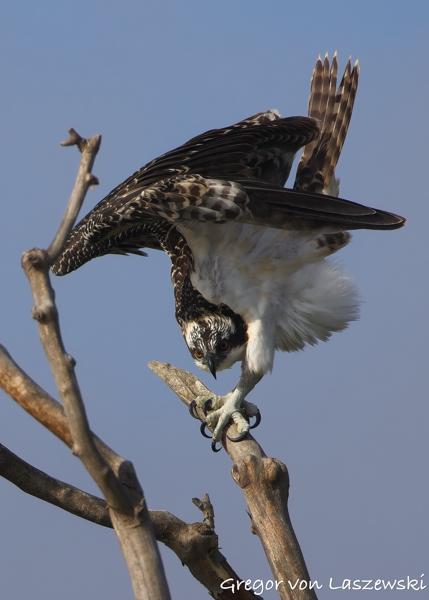 Monroe Lake 07-13-2025 Peninsula