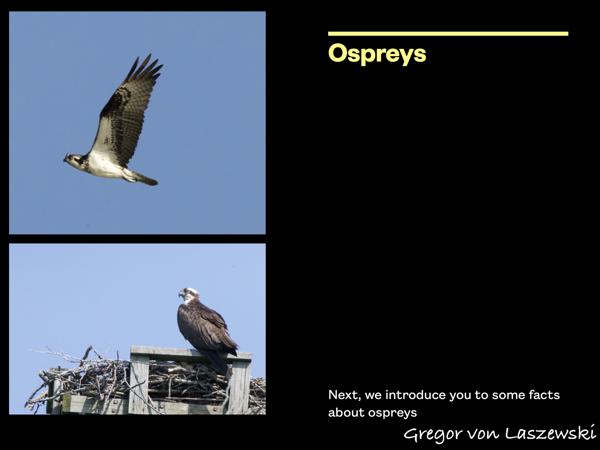  January 1, 0001 12:00 AM, , , mm, , s, ISO , 