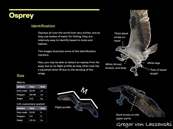  January 1, 0001 12:00 AM, , , mm, , s, ISO , 