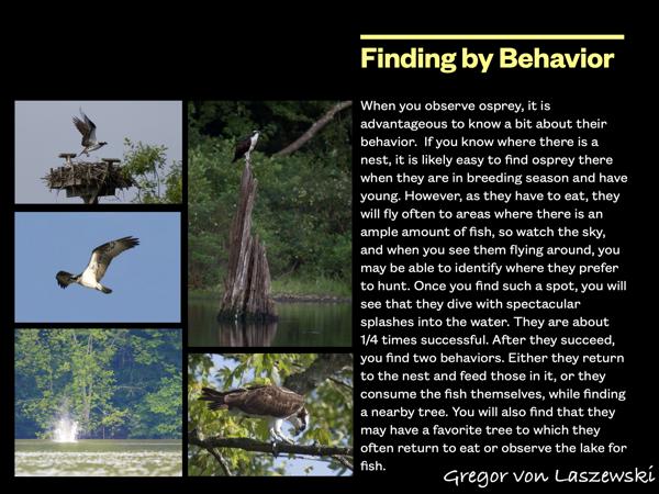  January 1, 0001 12:00 AM, , , mm, , s, ISO , 