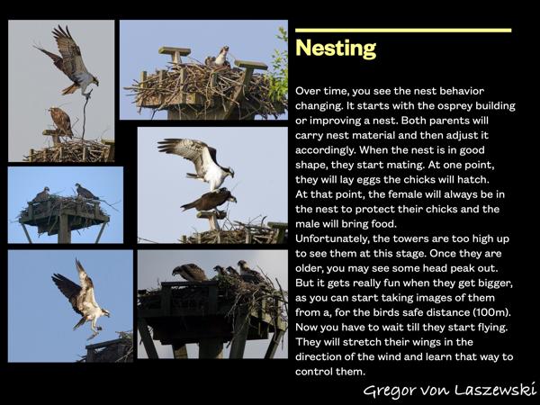  January 1, 0001 12:00 AM, , , mm, , s, ISO , 