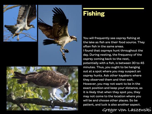  January 1, 0001 12:00 AM, , , mm, , s, ISO , 