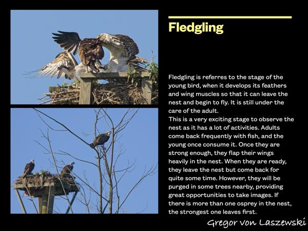  January 1, 0001 12:00 AM, , , mm, , s, ISO , 