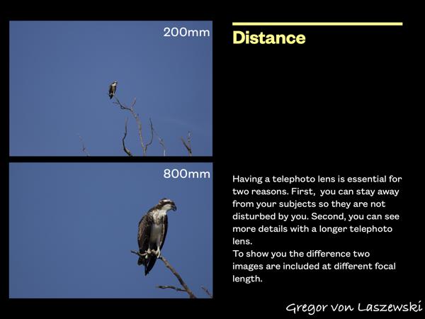  January 1, 0001 12:00 AM, , , mm, , s, ISO , 