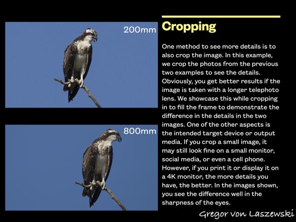  January 1, 0001 12:00 AM, , , mm, , s, ISO , 