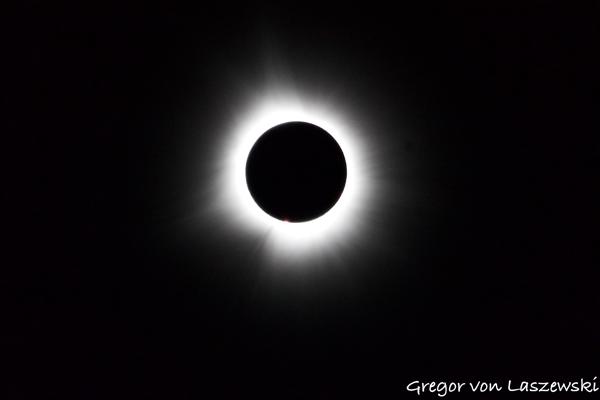  April 8, 2024 3:07 PM, Canon EOS R7, RF100-400mm F5.6-8 IS USM, 400mm, f/8.0, 1/800s, ISO 6400, Gregor von Laszewski